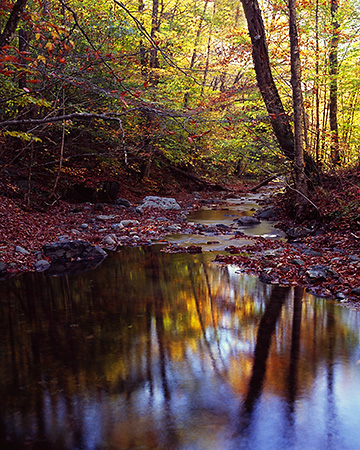  Fall Reflections on a River, NH